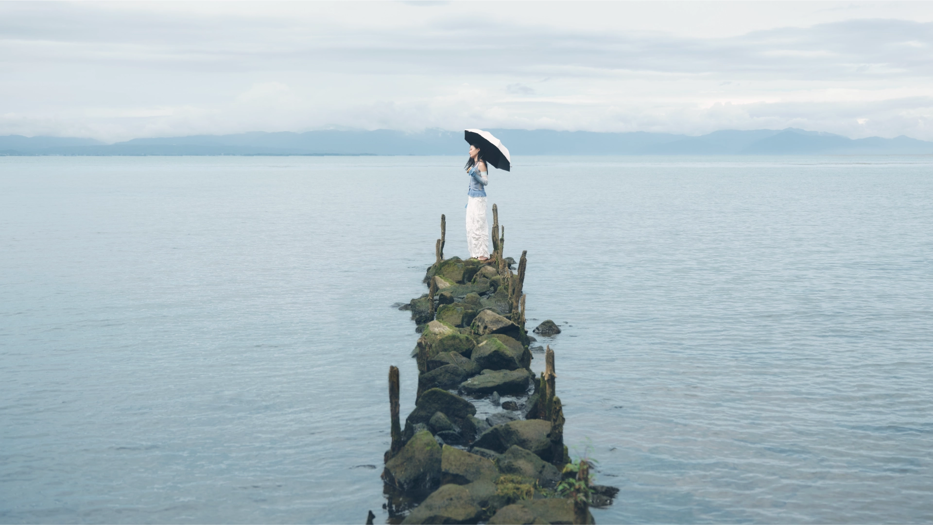 untule 2026collection