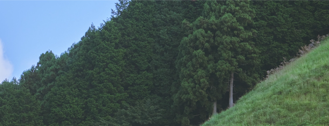 ブランドコンセプト