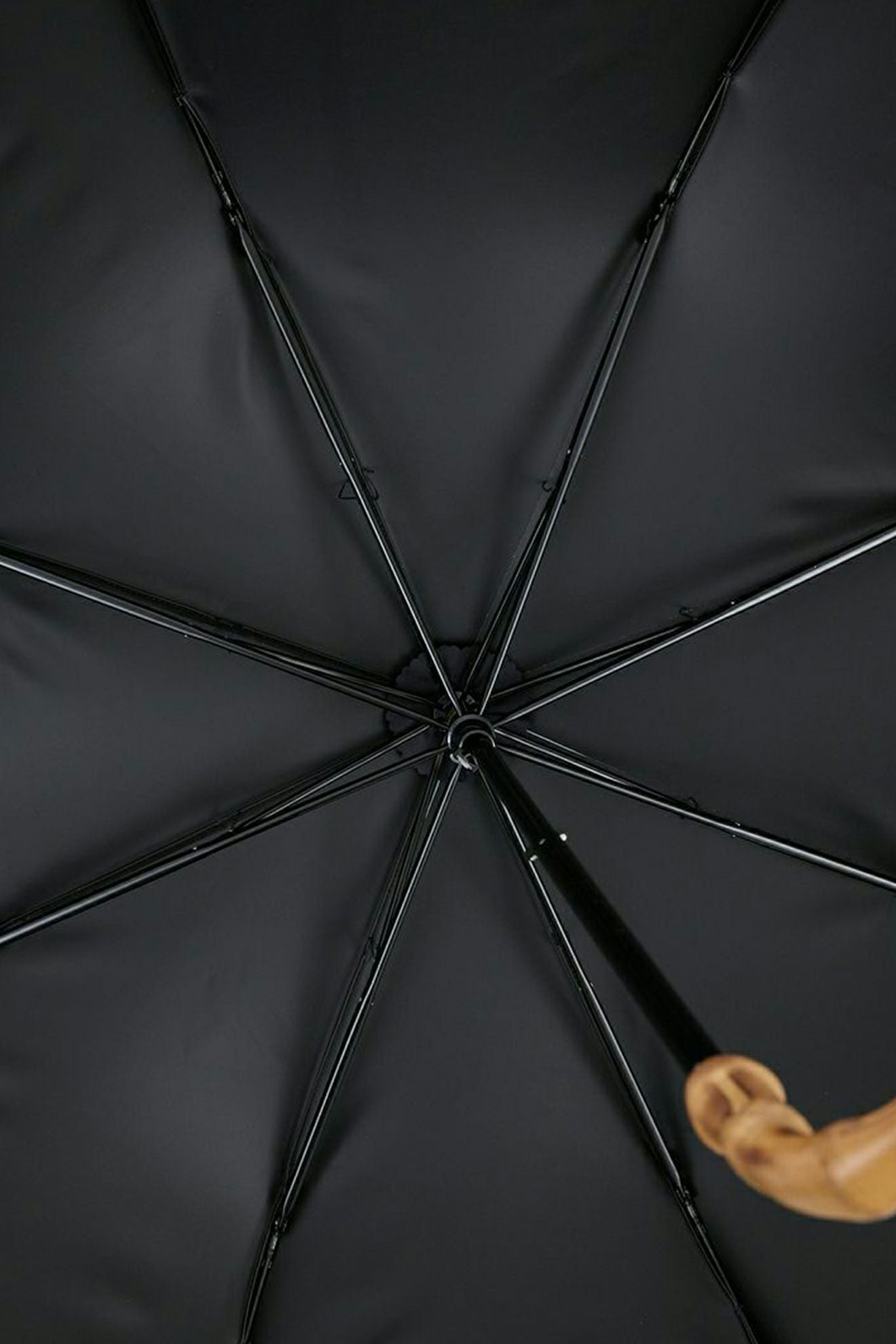 完全遮光100% 2段EASY 折りたたみ日傘/ワンカラー(50cm)